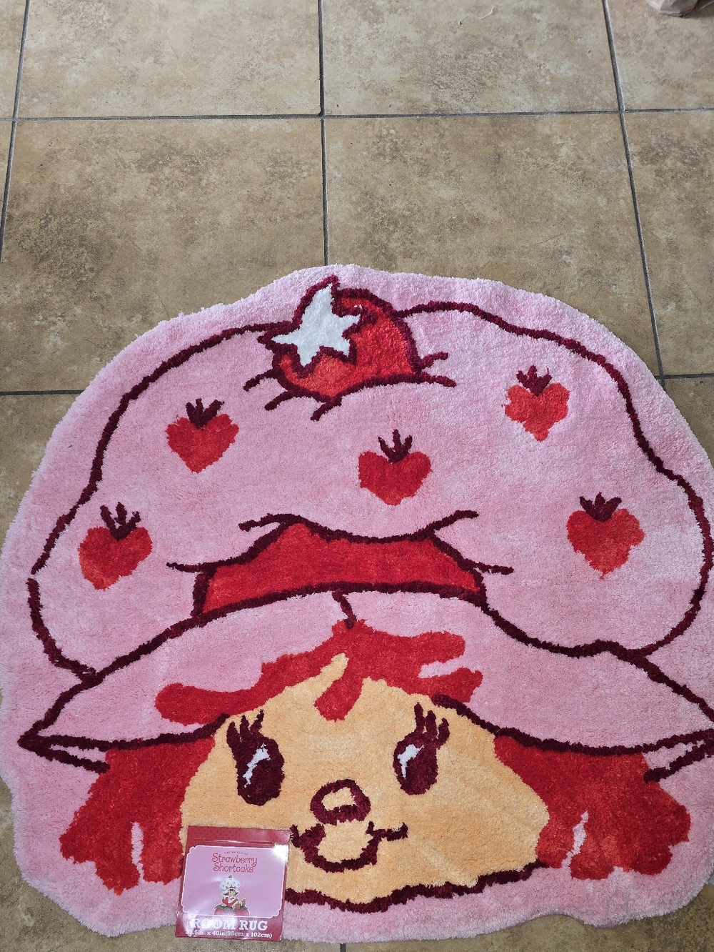 Room Rug Strawberry Shortcake Room Rug Pink & Red NWT and Shower Curtain